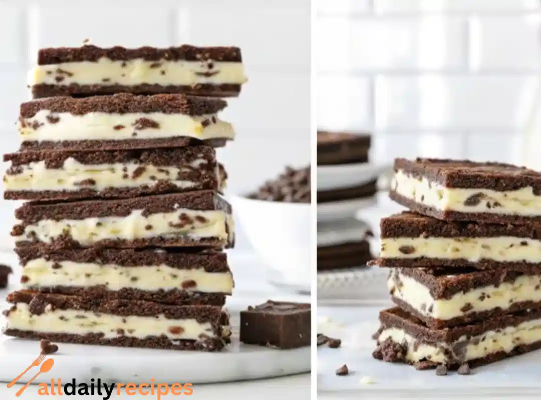 Homemade Ice Cream Sandwiches