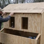 Creative DIY chicken coop ideas for backyard poultry farming.