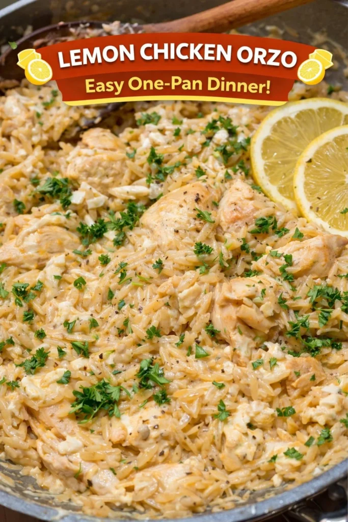 A plate of Lemon Chicken Orzo garnished with fresh herbs