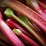 Delicious rhubarb pie and fresh rhubarb recipes for cooking enthusiasts