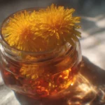 A jar of Dandelion Jelly with blooming dandelions in the background