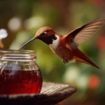 Homemade hummingbird nectar recipe and preparation in a garden setting.