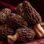 Delicious Morel Mushroom recipe featuring fresh ingredients and vibrant flavors