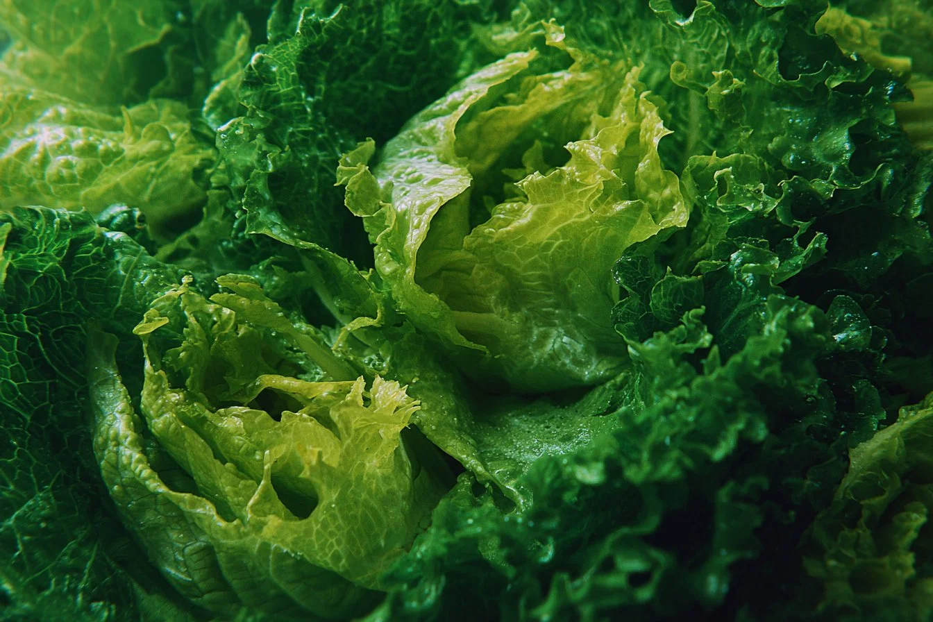 Fresh and colorful lettuce salad with vegetables and dressing